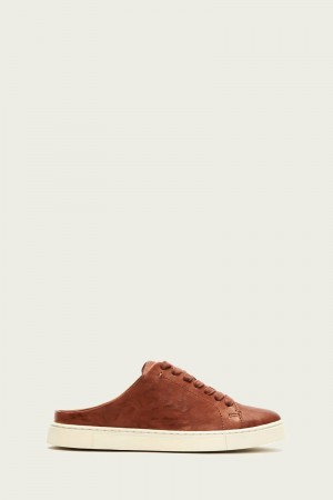 Brown Frye Ivy Low Lace Mule Women Sneakers | DSZT80913