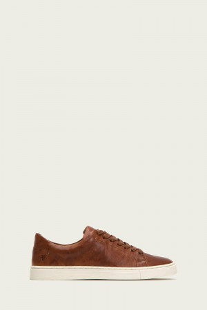 Brown Frye Ivy Low Lace Women Sneakers | DSQL32908