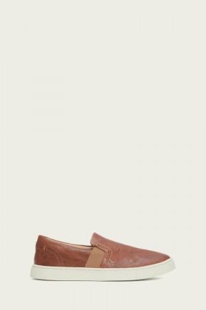 Brown Frye Ivy Women Sneakers | SEPG03612