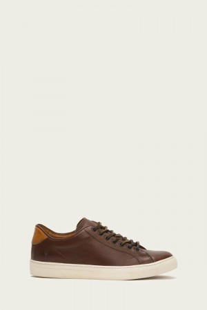 Brown Frye Walker Low Lace Men Sneakers | PIMU86917