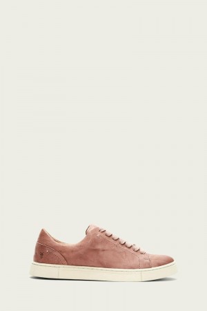 Purple Frye Ivy Low Lace Women Sneakers | LYXR07531