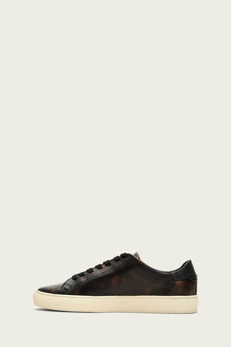 Black Frye Astor Low Lace Men Sneakers | MFIZ46932