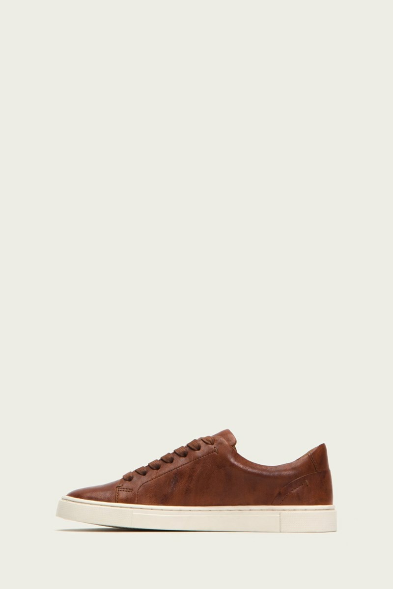 Brown Frye Ivy Low Lace Women Sneakers | DSQL32908