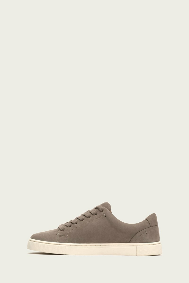 Grey Frye Ivy Low Lace Women Sneakers | NBYV32149