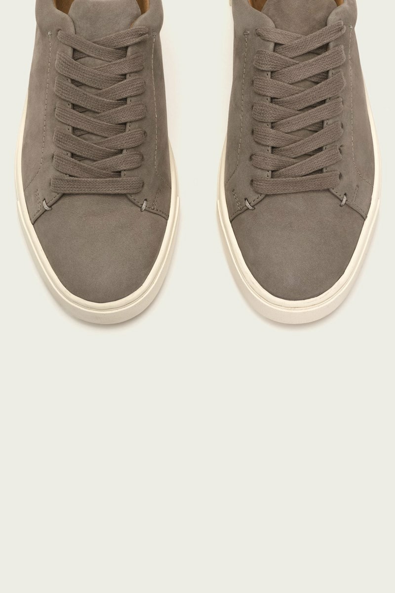 Grey Frye Ivy Low Lace Women Sneakers | NBYV32149